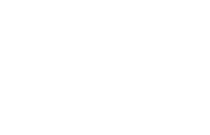 IATA Logo