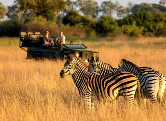 Africa safari